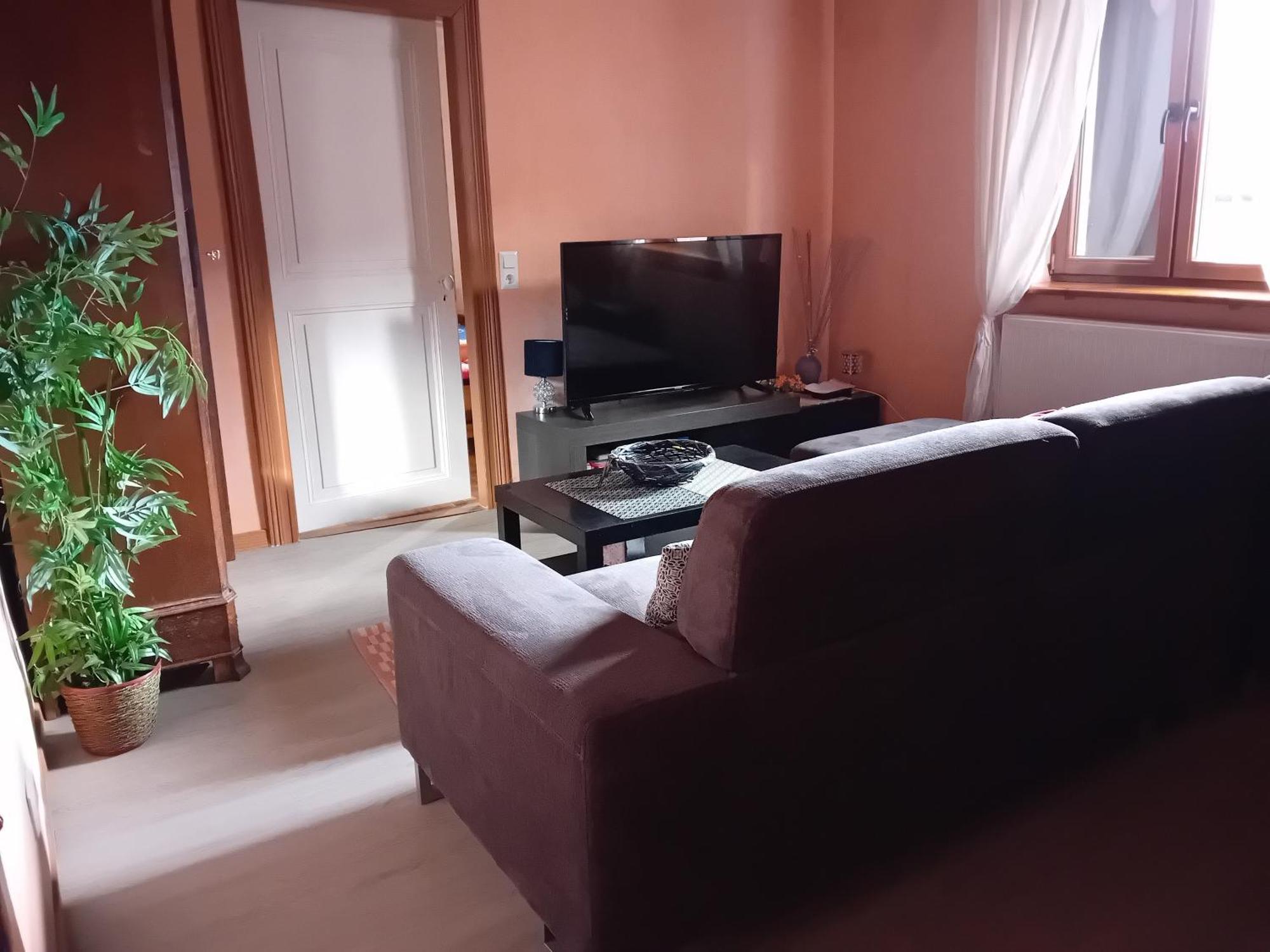Appartement Spacieux Dans Joli Village Alsacien Châtenois المظهر الخارجي الصورة